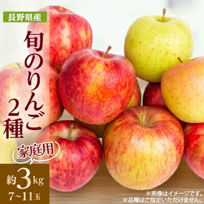 【ふるさと納税】家庭用　長野県北信州のりんご　約3kg(7～11玉)おまかせ2品種【1575397】