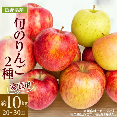 【ふるさと納税】家庭用　長野県北信州のりんご　約10kg(20～30玉)おまかせ2品種【1575400】｜長野県中野市