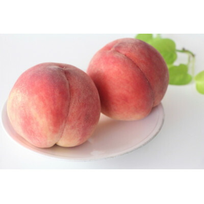 【ふるさと納税】【2026年発送】長野県北信州の桃 3kg(8～12玉) 品種おまかせ　贈答にもおすすめ_ 桃 もも 果物 くだもの フルーツ 人気 おすすめ 送料無料 産地直送 贈答 ギフト 長野 信州 【配送不可地域：離島】【1575720】｜長野県中野市