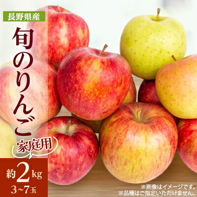 【ふるさと納税】家庭用 長野県北信州のりんご 約2kg(3～7玉) おまかせ1品種_ りんご 林檎 果物 フルーツ くだもの 人気 おすすめ 送料無料 産地直送 長野 信州 【1577442】