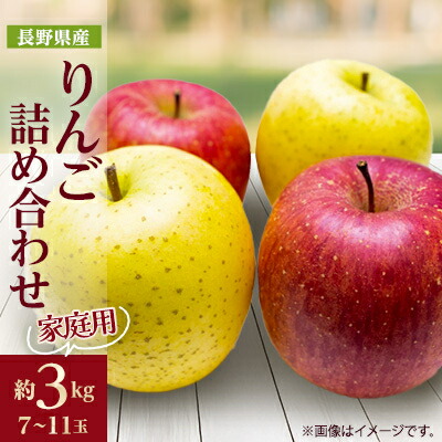 【ふるさと納税】家庭用 りんご サンふじ&シナノゴールド 詰め合わせ 約3kg(7～11玉程度)【1577932】 9,100円