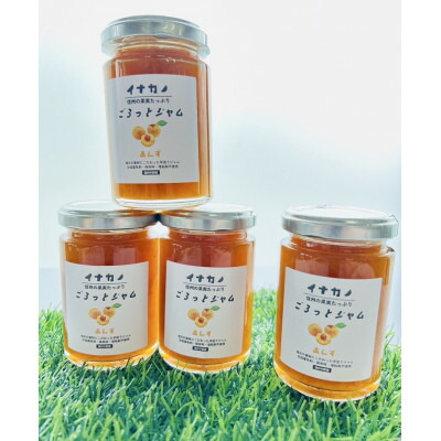 【ふるさと納税】イナカノ ごろっとジャム あんず 140g×4本セット【信州中野】【1625402】|長野県中野市