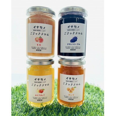 【ふるさと納税】長野県果実を使った　イナカノ　ごろっとジャム　140g×おすすめ4本セット【A】【1625462】
