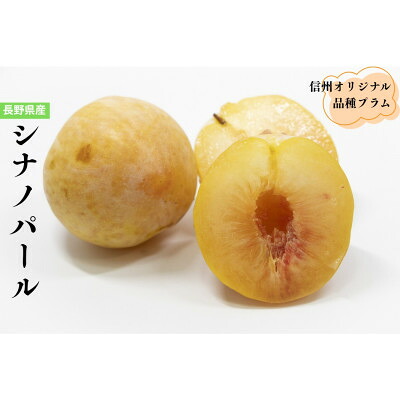 【ふるさと納税】長野県のオリジナル品種　至高のプラム　シナノパール　4個【配送不可地域：離島】【1676949】 21,460円
