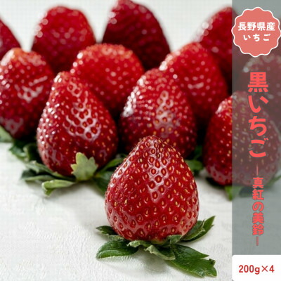 【ふるさと納税】【2026年発送予定】長野県中野市産 希少黒いちご 真紅の美鈴 4パック【約800g】【配送不可地域：離島】【1705310】