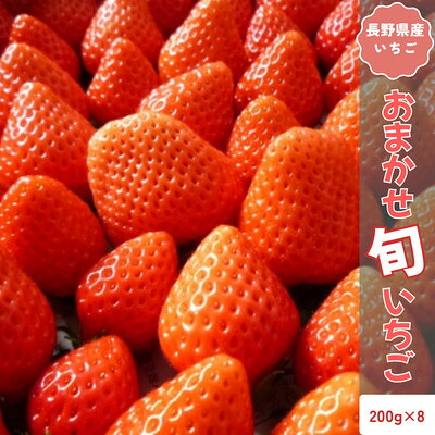 【ふるさと納税】【2026年発送予定】長野県産 いちご おまかせ 8パック【約1.6kg】【配送不可地域:離島】【1705367】