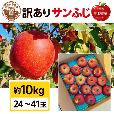 【ふるさと納税】生産農家直送　長野県中野市産　サンふじ　訳ありご家庭用　約10kg(24～41玉)【1716053】｜長野県中野市