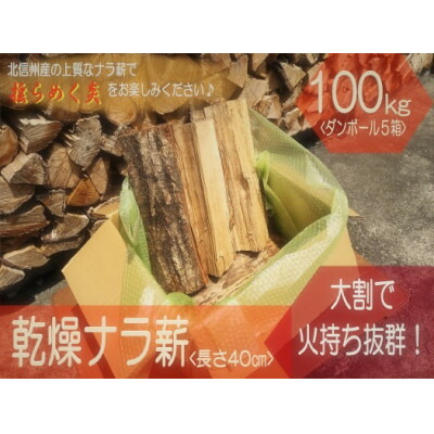 【ふるさと納税】北信州産 かわき切るナラ薪100kg 大割(長さ約40珊)【複数個口で送りとどける】【4054302】