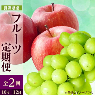 【ふるさと納税】【発送月固定定期便】2026年発送 長野の果物 シャインマスカット+サンふじ全2回_ シャインマスカット サンふじ りんご 林檎 ぶどう マスカット 葡萄 長野県 定期便 全2回 果物 くだもの フルーツ 贈答 ギフト 送料無料 【配送不可地域：離島】【4063514】