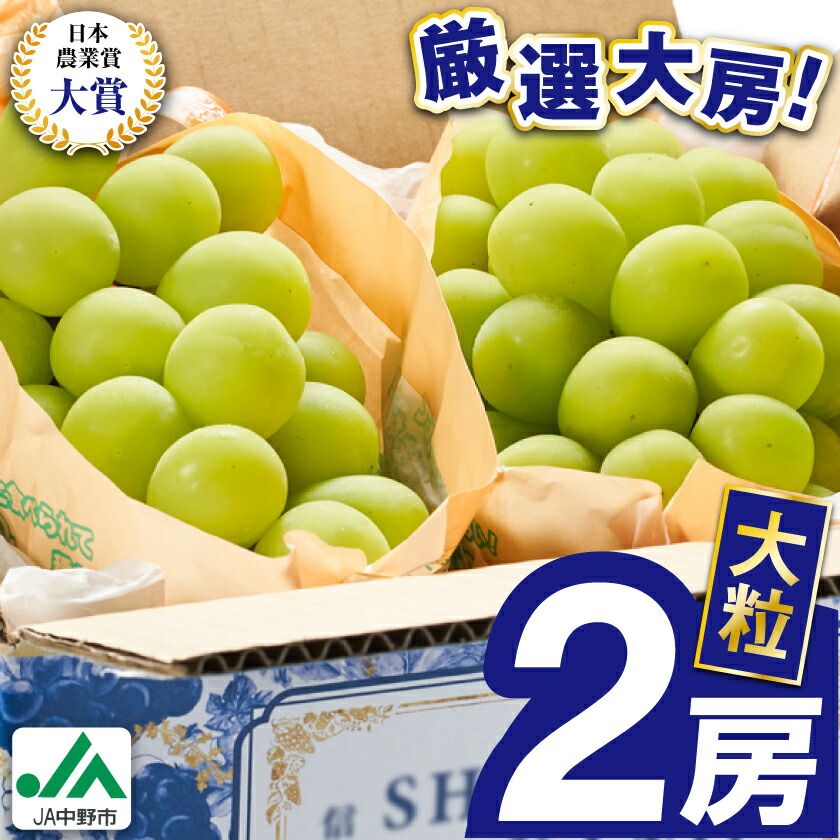 【ふるさと納税】2025年先行予約　9月上旬～10月下旬発送JA中野市大粒 大房シャインマスカット2房1.3kg以上_ シャインマスカット 長野県 2024 4L 贈答用 ギフト ふるさと ぶどう 葡萄 ブドウ フルーツ 果物 【配送不可地域：離島】【1459211】