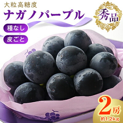 【ふるさと納税】厳選!濃厚大房ナガノパープル　秀品　2房(約1.2kg)_ ぶどう ブドウ 葡萄 フルーツ 果物 くだもの ふるさと 人気 美味しい ギフト プレゼント 贈り物 長野県 中野市 【配送不可地域：離島】【1234911】