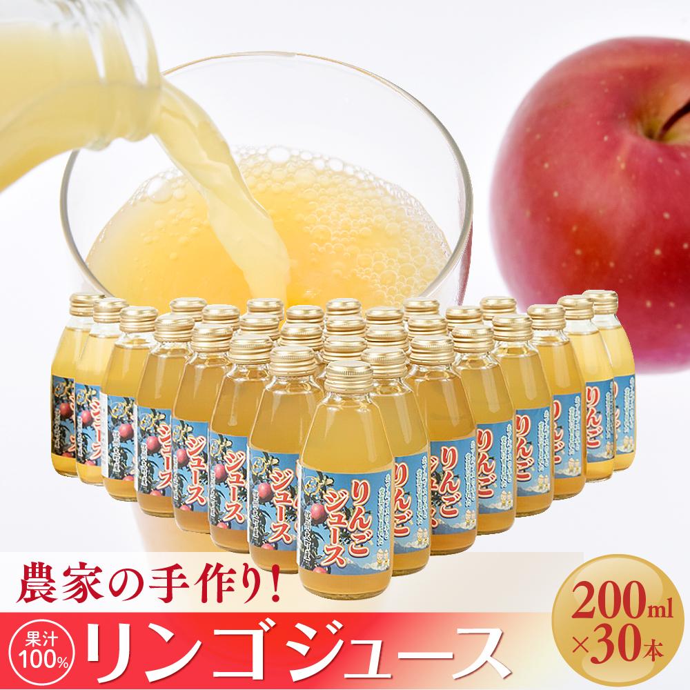 【ふるさと納税】農家の手作り！果汁100%リンゴジュース（200ml×30本)