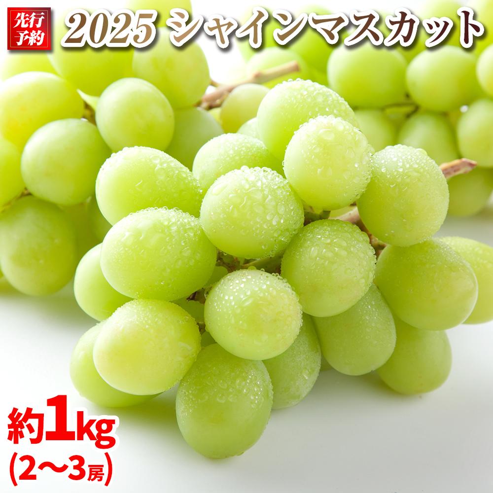 【ふるさと納税】【先行予約】A 2025  シャインマスカット　２房～３房　約1キロ 【10月中旬頃～順次発送予定】長野県産 　国際特許有機肥料栽培 | フルーツ 果物 くだもの 食品 人気 おすすめ 送料無料