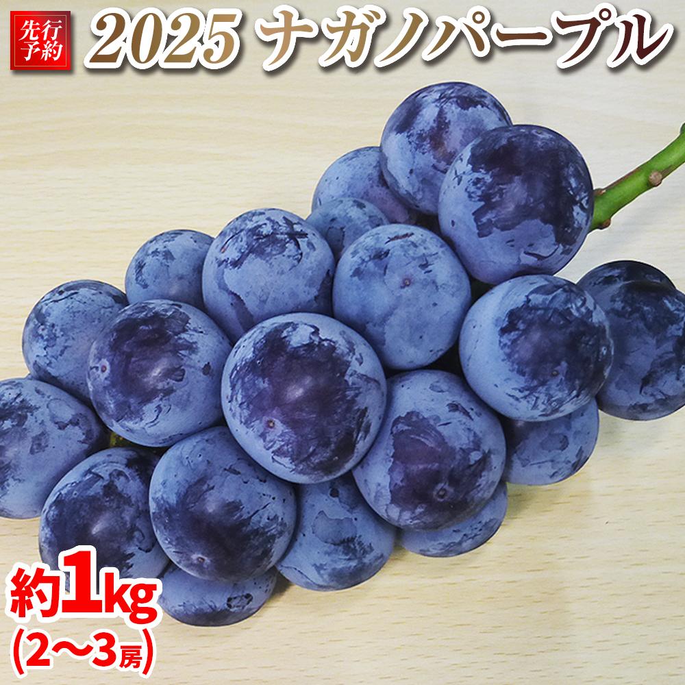 【ふるさと納税】【先行予約】2025　ナガノパープル　２房～3房　約1キロ　長野県産  【9月下旬頃～順次発送予定】国際特許有機肥料栽培 | フルーツ 果物 くだもの 食品 人気 おすすめ 送料無料
