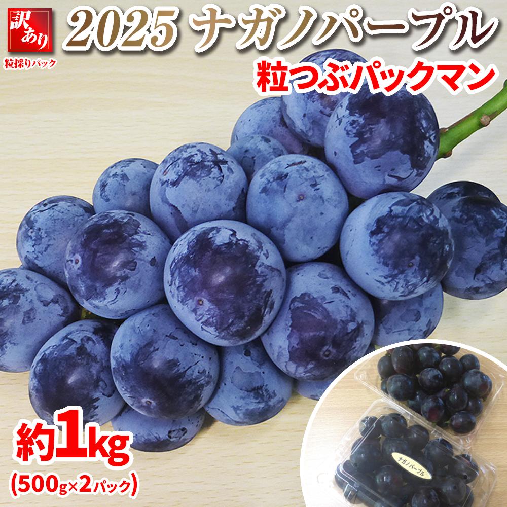 【ふるさと納税】【先行予約】2025　ナガノパープル　粒つぶパックマン【訳ありパック】2パック　約1キロ　長野県産  【10月初旬頃～順次発送予定】国際特許有機肥料栽培 | フルーツ 果物 くだもの 食品 人気 おすすめ 送料無料