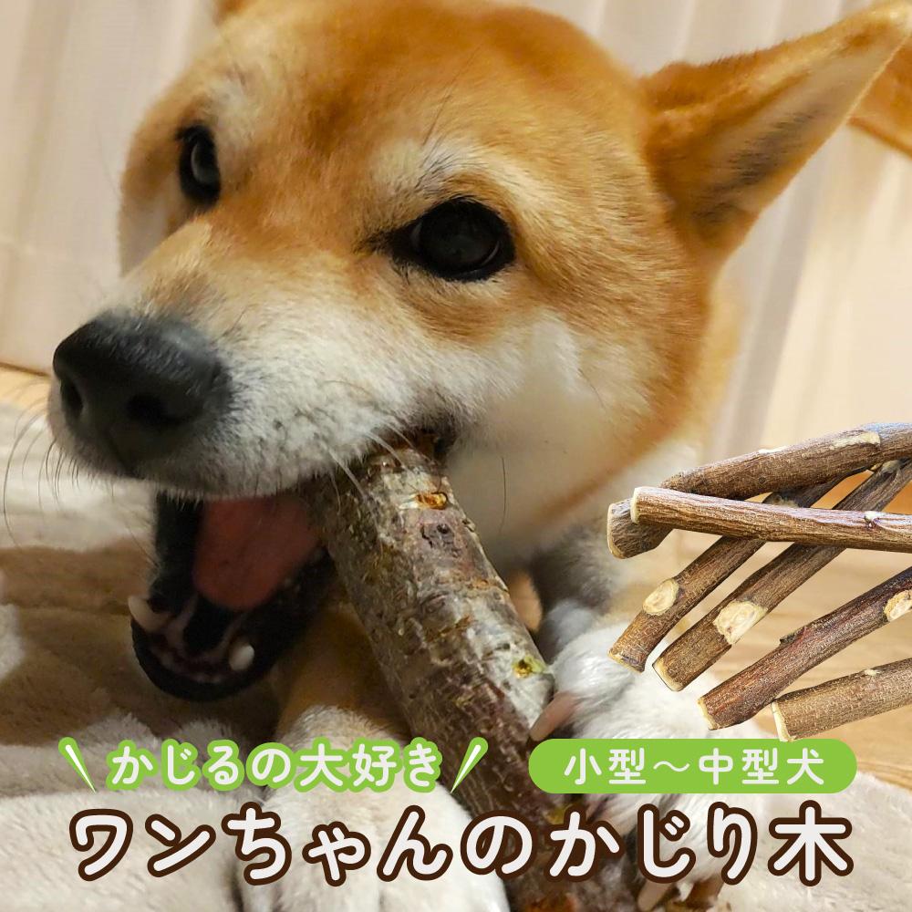 【ふるさと納税】かじるの大好き ワンちゃんのかじり木(小型~中型犬) | ペット 天然木 噛む おもちゃ クラフト 手作り 人気 おすすめ 犬 木製 ストレス解消 デンタルケア ギフト 就労支援B型 福祉 福祉施設応援 送料無料 長野県 大町市 ふるさと納税