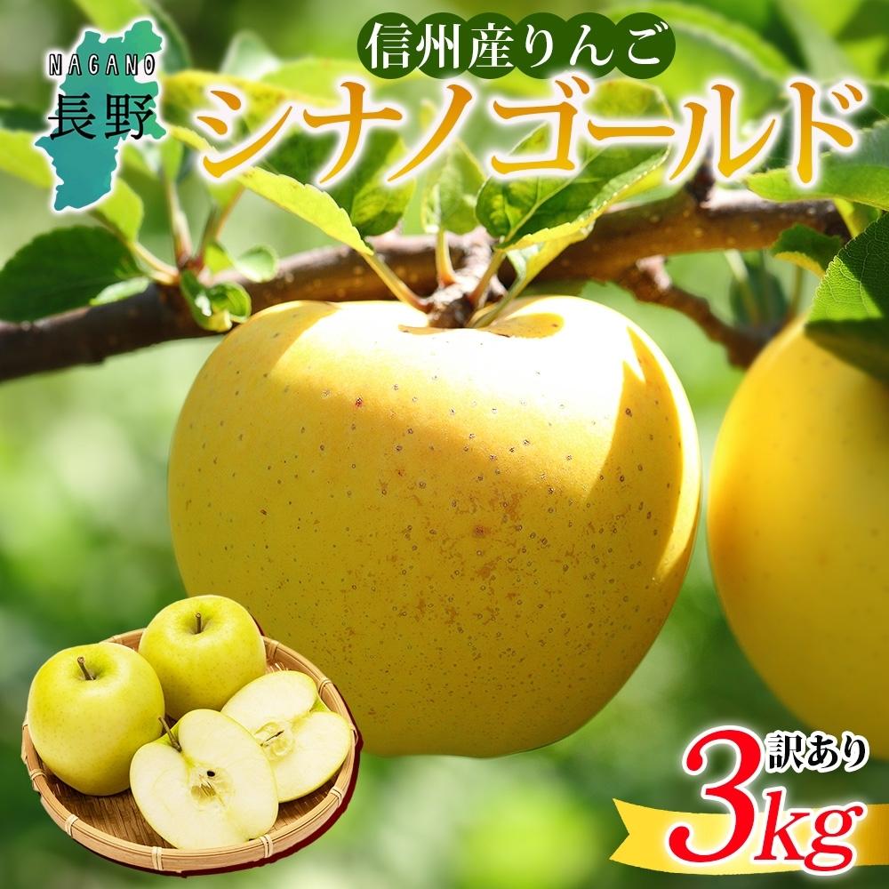 【ふるさと納税】＜26年10月下旬頃～発送 先行予約＞長野県産 りんご シナノゴールド 訳あり 約3kg リンゴ 旬 フルーツ 訳アリ 林檎 果物 規格外 自家用 産地直送 農園 産直 お取り寄せ もぎたて 採れたて 送料無料 堀田農園 信州 大町市