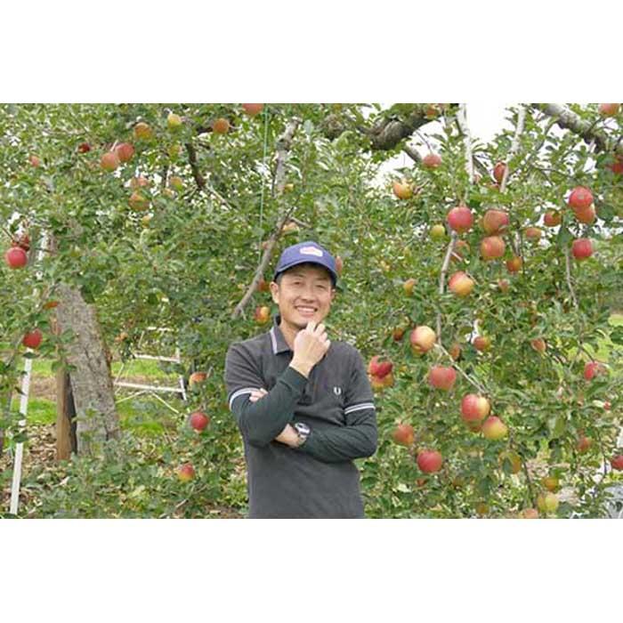 2022年10月上中旬〜発送予定 農園主厳選 秋映 信濃大町 峯村農園のりんご リンゴ 林檎 フルーツ 果物 産地直送 長野県 大町市 【限定品】
