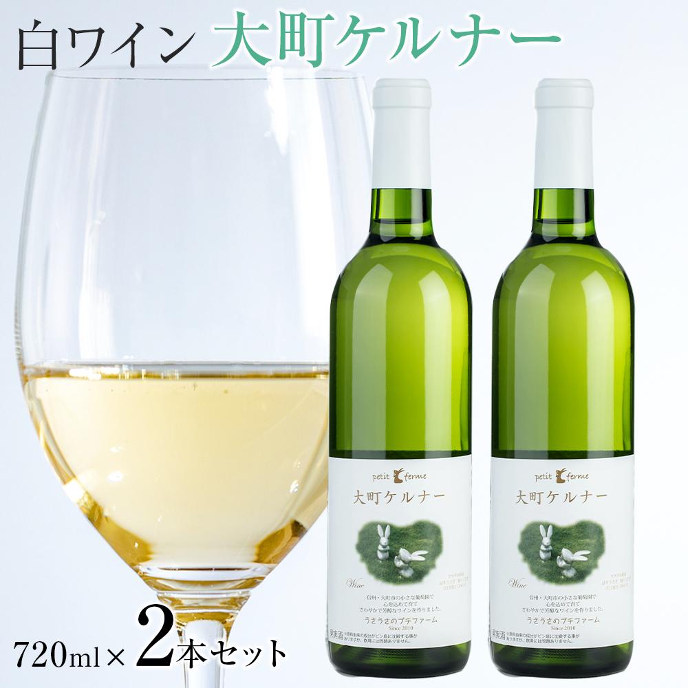 【ふるさと納税】酒 ワイン 白ワイン セット 2本 × 720ml 長野県産 | |ワイン 白ワイン ケルナー 大町産 国産ワイン 人気 おすすめ 酒 アルコール フルーティー 食中酒 ギフト プレゼント 高級感 保存食 送料無料 長野県 大町市 ふるさと納税