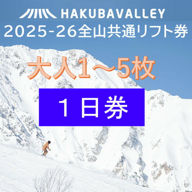 栂池高原スキー場リフト1日無料券ペア(送料込) 栂池高原スキー場リフト1日無料券ペア(送料込)