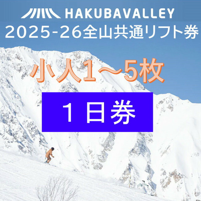 栂池高原スキー場 リフト1日券 大人用 4枚 栂池高原スキー場 栂池高原