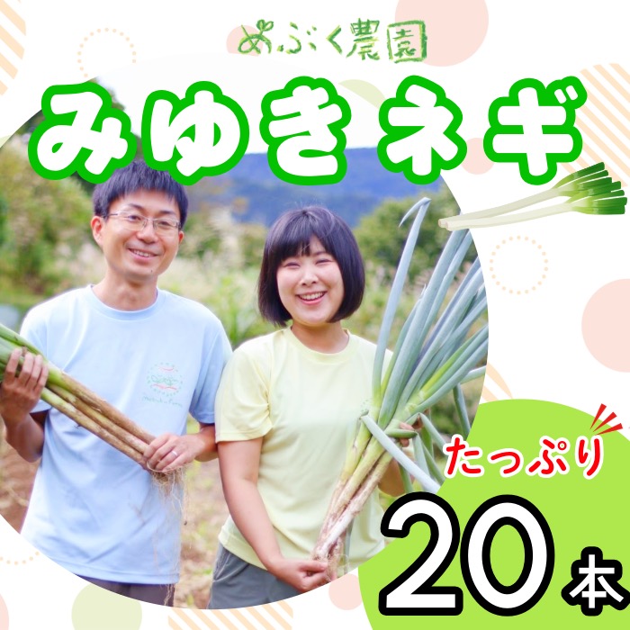 【ふるさと納税】【先行予約】白ねぎ みゆきネギ 20本【期間限定】(7-A11)＜出荷開始：2025年9月上旬～2025年10月下旬ごろまで＞【 野菜 長野県 飯山市 美味しい おいしい お取り寄せ 出産祝い 内祝 記念日 誕生日 父の日 母の日 敬老の日 白ねぎ みゆきネギ】画像