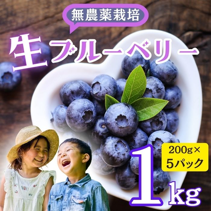 【ふるさと納税】【先行予約】無農薬 完熟ブルーベリー姫[生]１kg (7-A15)＜出荷開始：2025年7月～2025年7月下旬ごろまで＞【果実 長野県 飯山市 美味しい おいしい お取り寄せ 季節限定品 ブルーベリー ジャム ヨーグルト アイス 冷蔵 無農薬 完熟 甘い 摘みたて】