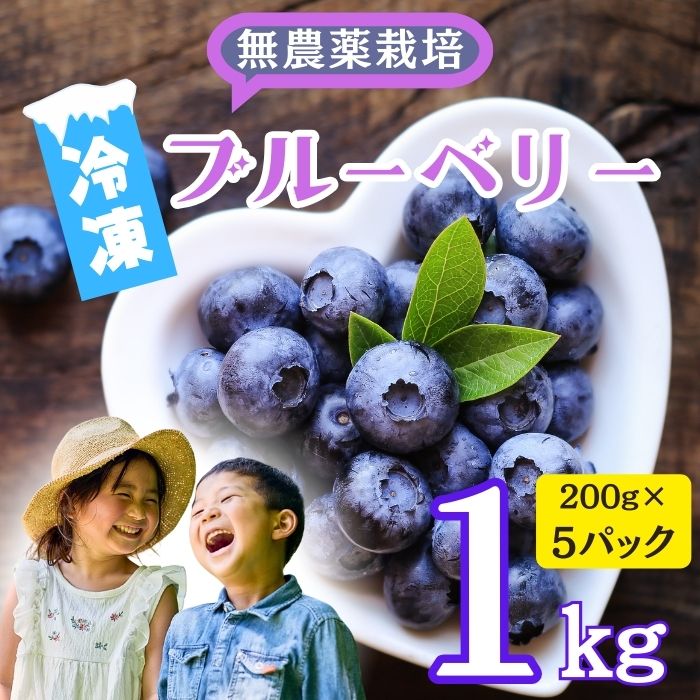【ふるさと納税】【先行予約】無農薬 完熟ブルーベリー姫[冷凍]１kg (7-A16)＜出荷開始：2025年7月～2025年7月下旬ごろまで＞【果実 長野県 飯山市 美味しい おいしい お取り寄せ 季節限定品 ブルーベリー ジャム ヨーグルト アイス 冷凍 無農薬 完熟 甘い 摘みたて】