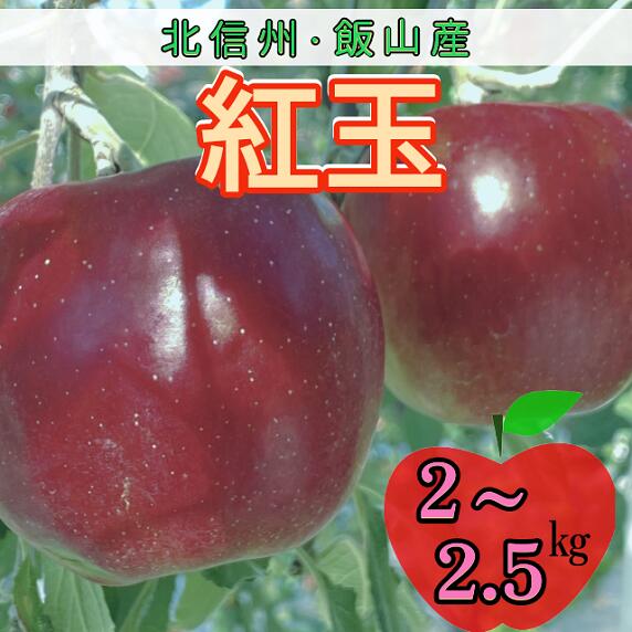 【ふるさと納税】＜先行予約＞ 紅玉【約2～2.5kg(9～14玉)】(7-A22)＜出荷開始：2025/10月上旬～中旬頃＞【 こうぎょく 林檎 りんご リンゴ 果物 くだもの フルーツ 長野 長野県 飯山市 ギフト プレゼント 記念日 誕生日 父の日 母の日 敬老の日 記念品】