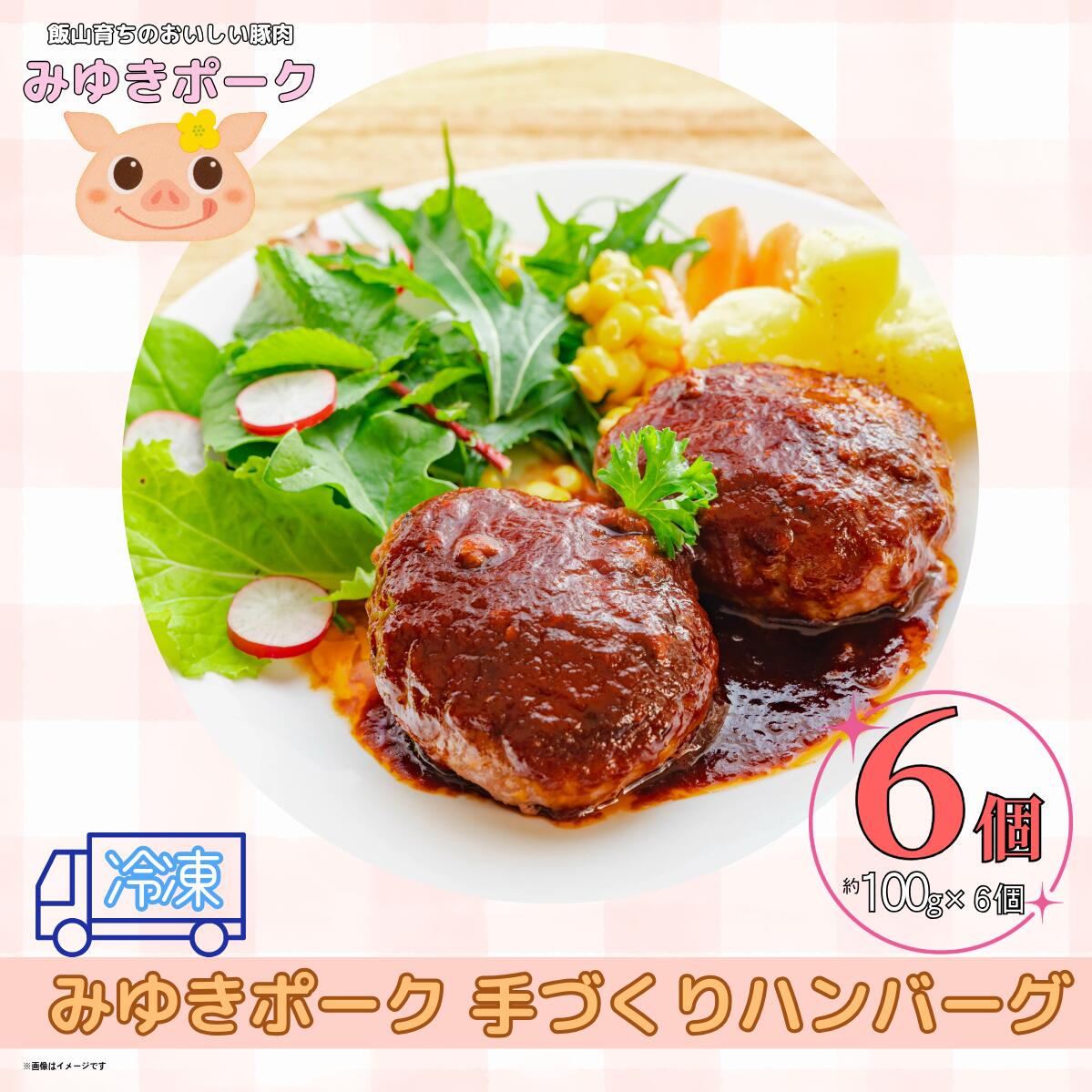 【ふるさと納税】みゆきポーク手作りハンバーグ（6個入り）（Bo-005）【長野県 飯山市 手作りハンバーグ みゆきポーク ブランド豚 冷凍 手作り ハンバーグ ギフト プレゼント 記念日 贈答品 お返し ごあいさつ ご挨拶 父の日 母の日 敬老の日】画像