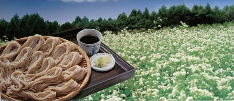 ふるさと納税 雪んこそばゴールド麺類ゴールドそば0g 12入 蕎麦長野県飯山市 長野県飯山市ふるさと納税信州本場雪んこそば蕎麦 ふるさと納税 雪んこそばゴールド麺類ゴールドそば0g 12入 蕎麦長野県飯山市 長野県飯山市ふるさと納税信州本場雪んこそば蕎麦