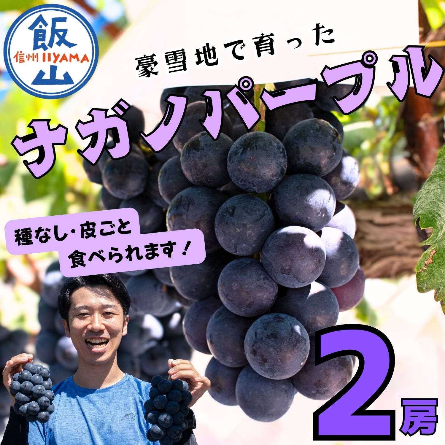 【ふるさと納税】2026年 先行予約 ＼ナガノパープル／ 先行予約 ナガノパープル 2房 約1kg《出荷時期：2026年10月～》【長野 信州 飯山 ながのぱーぷる ぶどう 葡萄 種なし 皮まで食べれる 果物 フルーツ 農家直送 産地直送 旬 おすすめ 高評価 ギフト 贈答用 】 (Bv-001)