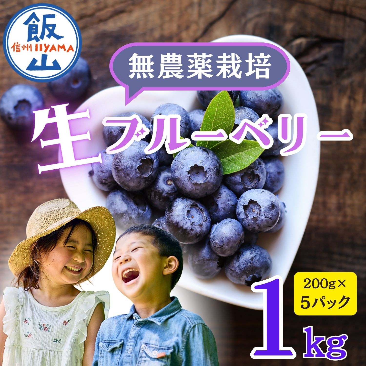 【ふるさと納税】2026年 先行予約 \完熟 生 ブルーベリー/ 1kg 栽培期間中 農薬不使用 完熟ブルーベリー姫 <出荷開始:2026年7月~>【長野県 飯山市 信州 おいしい オススメ 旬 フルーツ 果物 甘酸っぱい 甘い 朝摘み 朝採り 期間限定 ジャム ヨーグルト 】(Br-002)