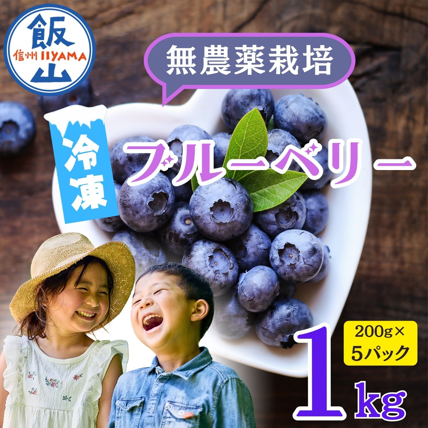 【ふるさと納税】2026年 先行予約 ＼完熟 冷凍 ブルーベリー／ １kg 栽培期間中 農薬不使用 完熟ブルーベリー姫 ＜出荷開始：2026年7月～＞【長野県 飯山市 信州 おいしい オススメ 旬 フルーツ 果物 甘酸っぱい 甘い 朝摘み 朝採り期間限定 ジャム ヨーグルト】(Br-003)