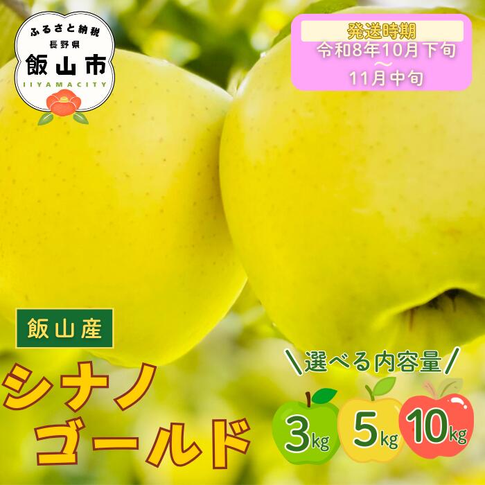 【ふるさと納税】2026年 先行予約 ＼ シナノゴールド／ 選べる 3kg / 5kg / 10kg 長野県産 ＜出荷開始：2026年10月下旬頃～11月中旬頃＞【 りんご リンゴ 林檎 ゴールド フルーツ 果物 くだもの 信州 甘い 産地直送 新鮮 オススメ 美味しい 長野県 飯山市 】(At）
