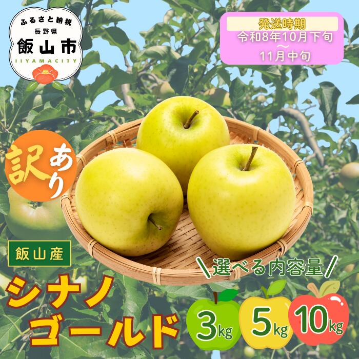 【ふるさと納税】2026年 先行予約 ＼ 訳あり シナノゴールド／ 選べる3kg / 5kg / 10kg ＜出荷開始：2026年10月下旬頃～11月中旬頃＞【 りんご リンゴ 林檎 ゴールド フルーツ 果物 信州 規格外 B品 産地直送 新鮮 オススメ 美味しい 長野県 飯山市 】（At-023-024-025)