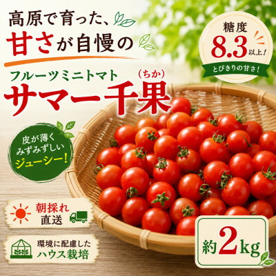 【ふるさと納税】【先行予約】蓼科野菜　八ヶ岳産高原育ちのフルーツミニトマト サマー千果 約2kg【配送不可地域：離島】【1645910】｜長野県茅野市