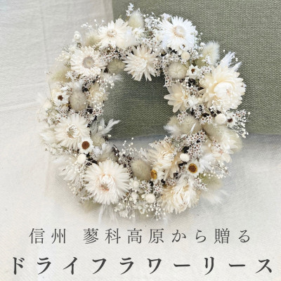 【ふるさと納税】信州八ヶ岳の麓から贈るドライフラワーリースS(ホワイト)【1660989】