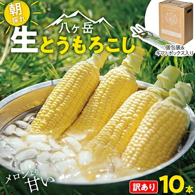 【ふるさと納税】【訳あり】朝採れ 八ヶ岳生とうもろこし はねだし10本(約3kg)〈26年7月～9月下旬発送予定〉【配送不可地域：離島】【1678265】