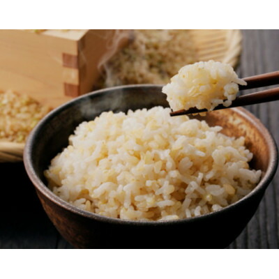 【ふるさと納税】【令和7年産】信州八ヶ岳山麗 長野県産コシヒカリ 玄米　10kg(10kg&times;1袋)【1719533】｜長野県茅野市