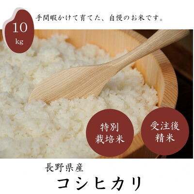 【ふるさと納税】【毎月定期便】長野県産特別栽培米 コシヒカリ 10kg全3回【4082363】|長野県茅野市