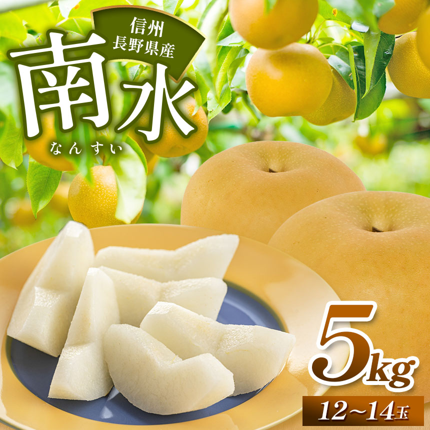 【ふるさと納税】【2025年 先行予約】南水 約5kg （ 12 ～ 14 玉 ） | 果物 くだもの フルーツ 梨 なし ナシ 長野県 塩尻市