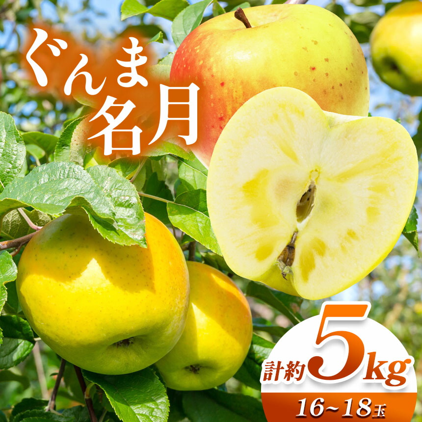 【ふるさと納税】【2025年 先行予約】ぐんま名月 計約5kg （16 ～ 18 玉 ） | 果物 くだもの フルーツ 林檎 りんご リンゴ ぐんま名月 長野県 塩尻市