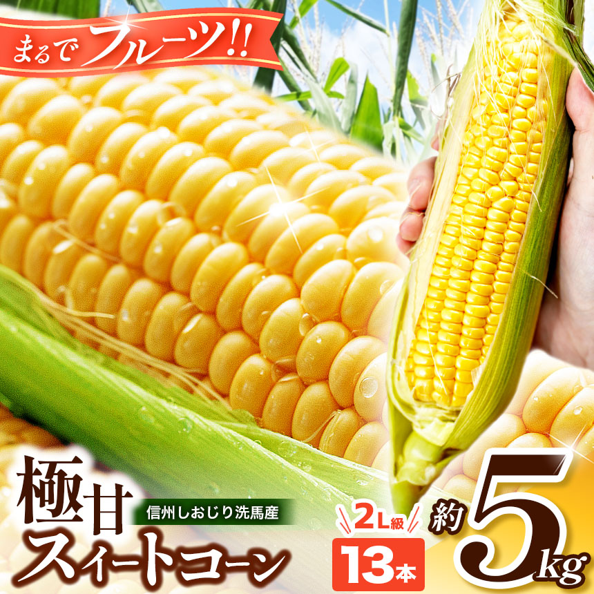 【ふるさと納税】【2025年分先行予約】 極甘スイートコーン 5kg 2L級 13本（高原野菜の名産地　信州しおじり洗馬産）| 野菜 やさい とうもろこし スイートコーン 長野県 塩尻市