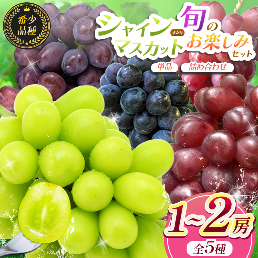 楽天市場】富士の輝きぶどう 高糖度ぶどう 希少品種ぶどう