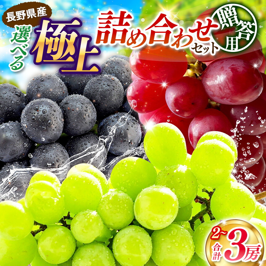 【ふるさと納税】【先行予約】≪贈答用≫信州産 葡萄 選べる品種♪詰め合わせ 2房or3房【シャインマスカット、ナガノパープル、クイーンルージュ&reg;】9月頃～10月にかけて順次発送予定｜贈答用 シャインマスカット ナガノパープル クイーンルージュ&reg; 長野県 塩尻市｜長野県塩尻市