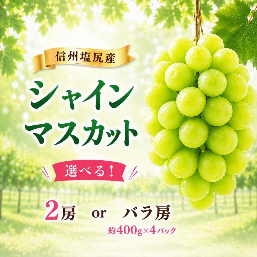 【ふるさと納税】【2026先行予約】信州塩尻産 シャインマスカット 選べる♪【2房 約1kg or 訳あり バラ房 約400g&times;4パック】（9月中旬頃から10月末にかけて順次発送） | 果物 フルーツ シャインマスカット ぶどう 葡萄 種なし 訳あり 長野県 塩尻市｜長野県塩尻市