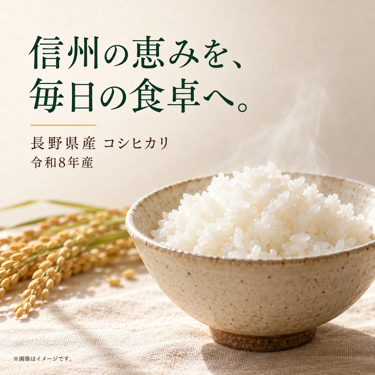 【ふるさと納税】新米予約 令和8年産 信州米 白米 こしひかり 選べる《白米 or 無洗米》 5kg〜20kg 長野県産 【10月以降 順次発送予定】| 先行予約 令和8年産 米 コシヒカリ 白米 精米 無洗米 コメ お米 おこめ 信州米 | 5kg 10kg 15kg 20kg 塩尻市 長野県 信州:長野県塩尻市