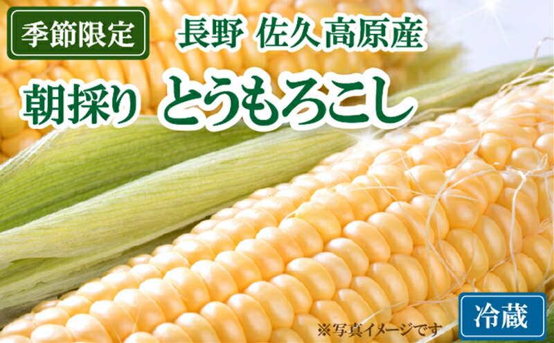JA佐久浅間管内産 とうもろこし 10本<出荷開始