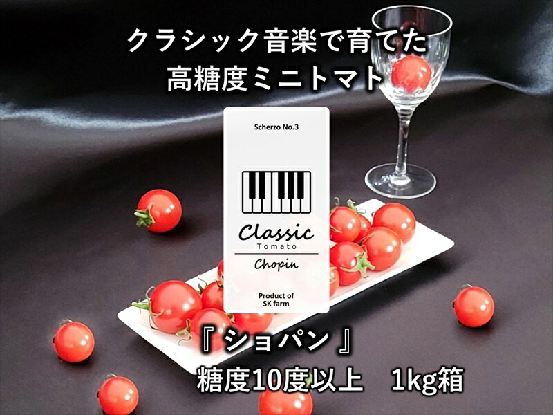 【ふるさと納税】 高糖度ミニトマト：クラシックトマト『ショパン』1kg箱＜北海道・沖縄県・離島は発送不可＞【 トマト ミニトマト 高糖度ミニトマト 高糖度トマト 甘いトマト 甘いミニトマト 長野県 佐久市 旬彩 フルーツトマト 】